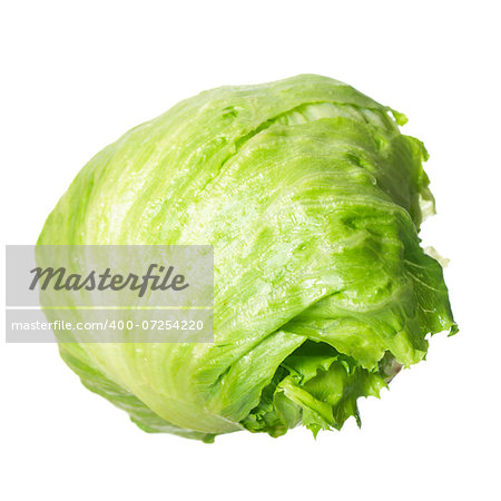 Green lettuce isolated on pure white background