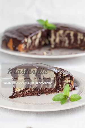 Zebra marble cake with chocolate glaze. Shallow dof