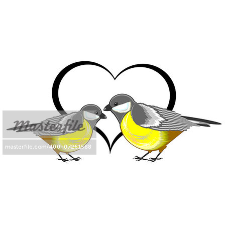 A couple of birds (titmice) with a heart. Vector-art illustration on a white background