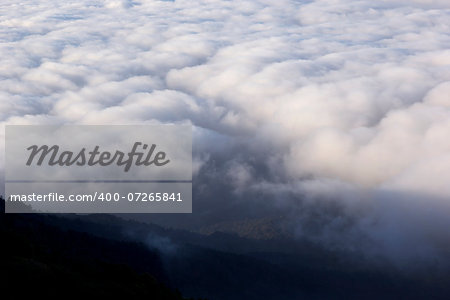 dawn fog in the mountains,North of Thailand