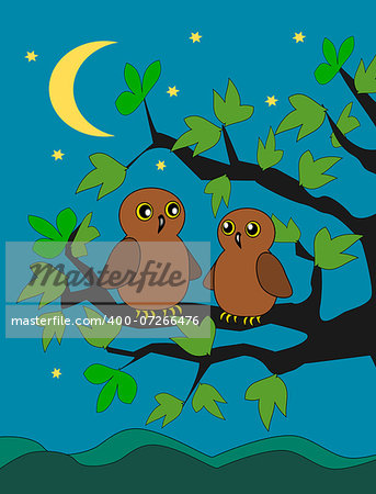Two owls sitting on a branch in the moonlight.
