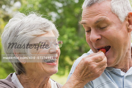 Closeup of a senior woman feeding strawberry to man at the park