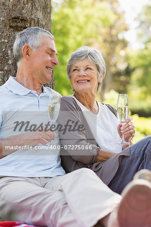Happy senior man and woman with champagne flutes at the park