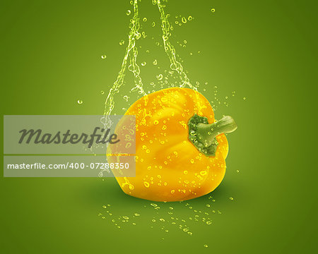 Fresh yellow bell pepper with water splashes on green background.