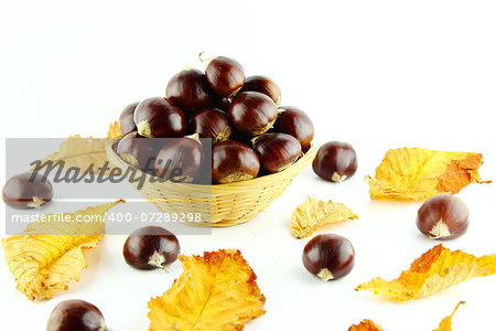 Sweet chestnuts in straw basket with leaves on white background.