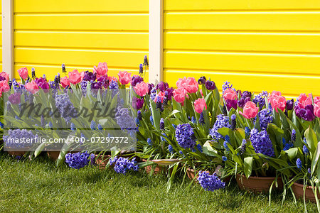 Keukenhof Gardens, Lisse, Netherlands