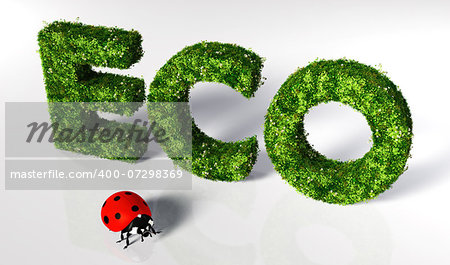 eco text covered by grass and flowers, and a small ladybug in front of it on a white ground