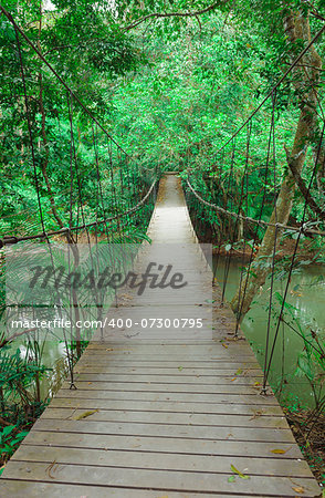 Narrow foot bridge