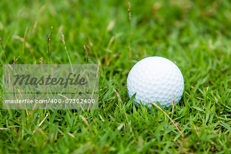 Golf ball on the green grass background