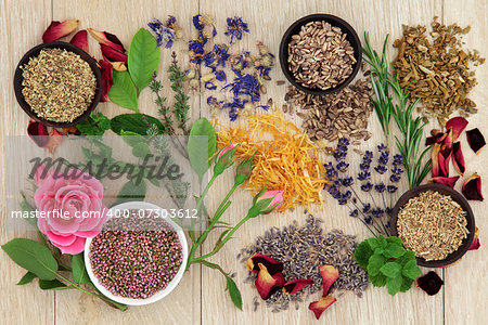 Herbal medicine selection also used in pagan witches magical potions over oak background.