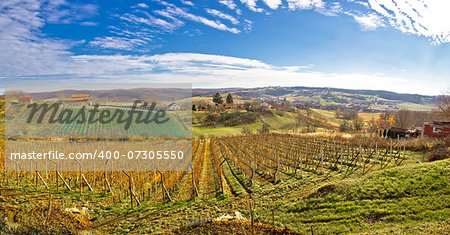 Bilogora region vineyard landscape panoramic view, Croatia