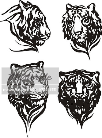 Set of tiger heads. Black and white vector illustrations.