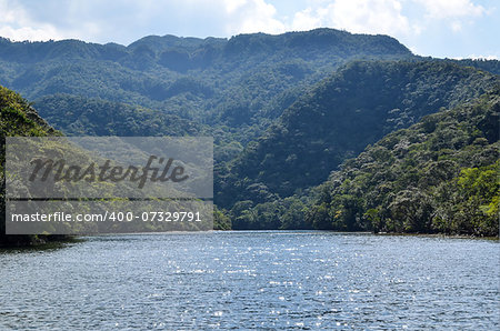 View at the river Urauchi at the tropical japanese island Iriomote