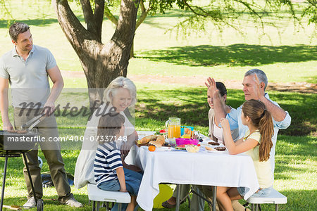 Father at barbecue grill with extended family having lunch in the park