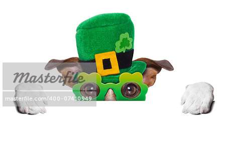 st patricks  day dog  behind blank banner