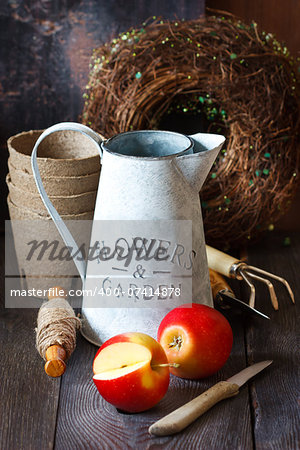 Nature theme with red apples and rustic gardening tools on an old wooden background.