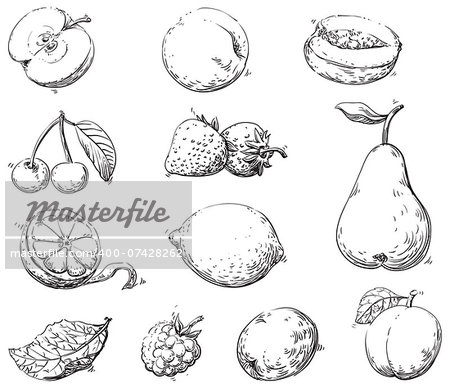 Vector set of fruits at engraving style