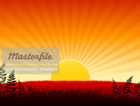 Sunset background Original Vector Illustration  Sunset background Ideal for Tropical Idea