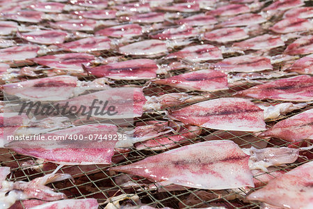 Squids placed in the strong sunshine to dry  on net in seafood market Thailand