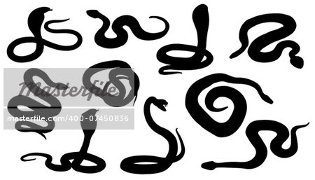 snake silhouettes on the white background