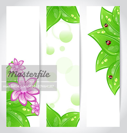 Illustration set of bio concept design eco friendly banners - vector