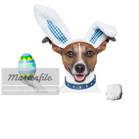 dog dressed up as bunny with easter holding an colorful easter egg