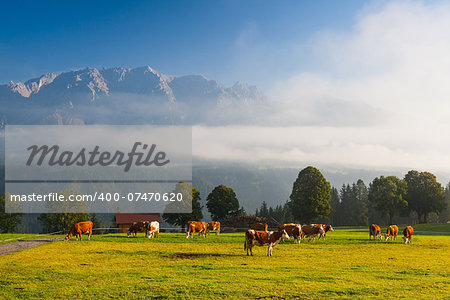 On a farm in the high mountains in Austria