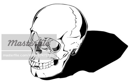 Comic human skull is hand drawn and live traced. Fills and outlines are separate groups, colors can be changed easily. Shadow can be removed.