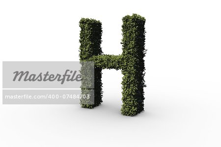 Capital letter h made of leaves on white background