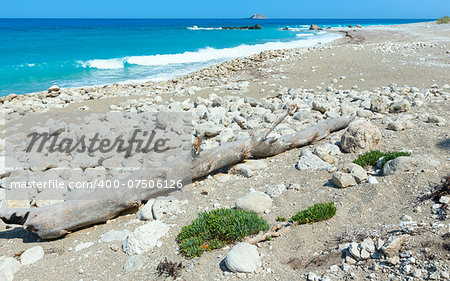 Beautiful summer Lefkada coast landscape with dry trunk of tree on stony beach (Greece, Ionian Sea, )