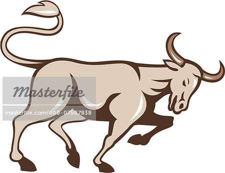 Illustration of an angry raging bull charging viewed from side on isolated background done in cartoon style.