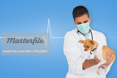 Vet holding chihuahua against medical background with blue ecg line