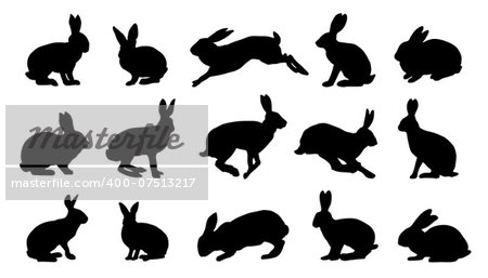 rabbit silhouettes on the white background