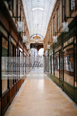 Beautiful Parisian shopping gallery -