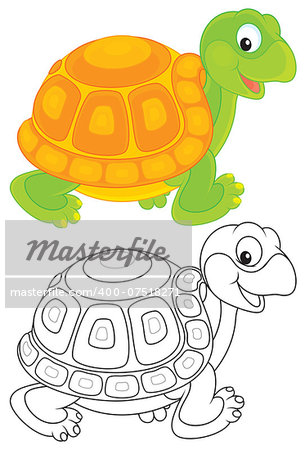 Funny green and yellow tortoise walking, color and black-and-white illustrations on a white background