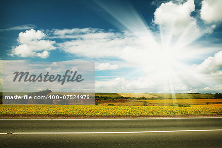 Road through the yellow sunflower field with clouds on blue sky