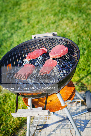 Barbecue in the summer with green grass background. Meat on the grill.