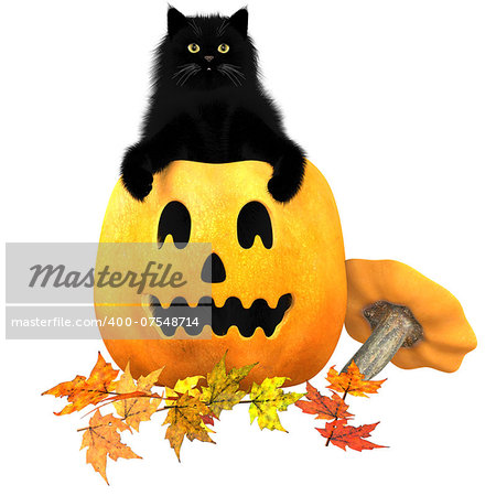 A black domestic cat, a carved pumpkin and Autumn leaves are typical symbols of the Halloween holiday.