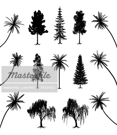 Collection of trees with roots and palms. EPS file available.