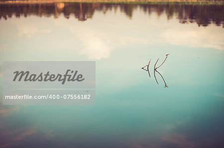 Pond and water reflection in spring nature in Thailand vintage
