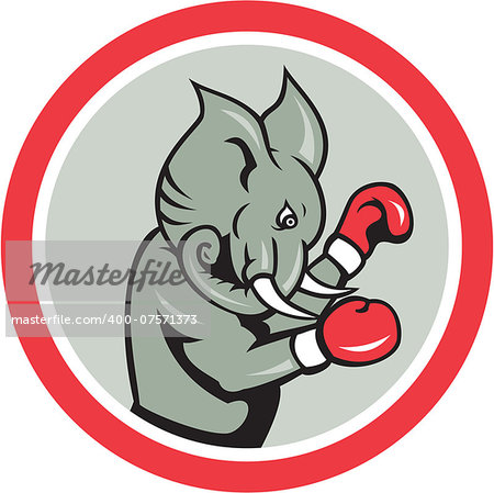 Illustration of an elephant mascot boxer boxing with gloves viewed from side on isolated background set inside a circle done in cartoon style.