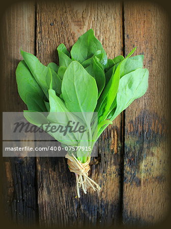 Vintage photo of spinach