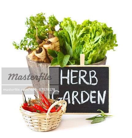 Fresh kitchen garden herbs and vegetables.