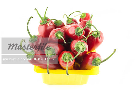 red hot chili pepper on a white background