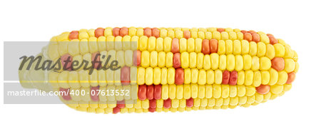 ear of corn isolated on a white background (with clipping work path)