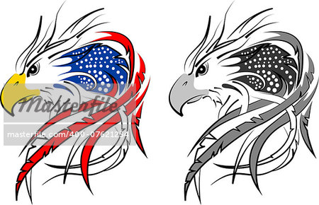 usa flag in eagle incorporated in 2 interpretation