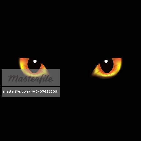 Cat Eyes, With Gradient Mesh, Vector Illustration