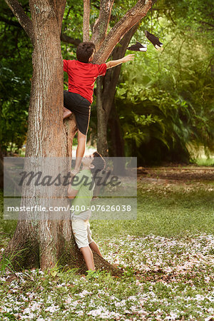 two kids helping each other to climb on tree and reaching for shoes on branch