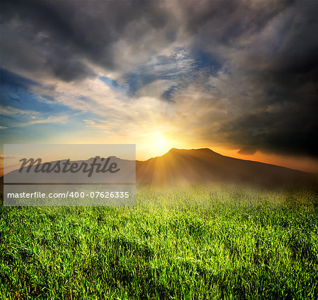 Field of green grass in mountains at sunset
