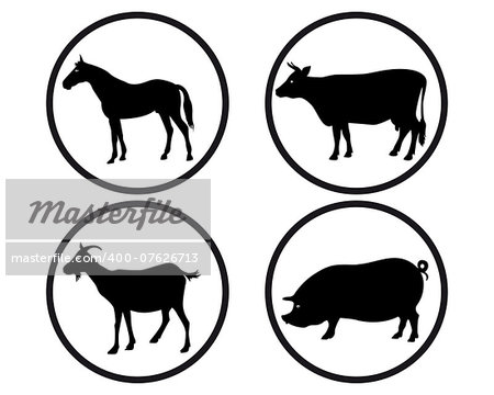 round buttons with black silhouettes of animals on a white background